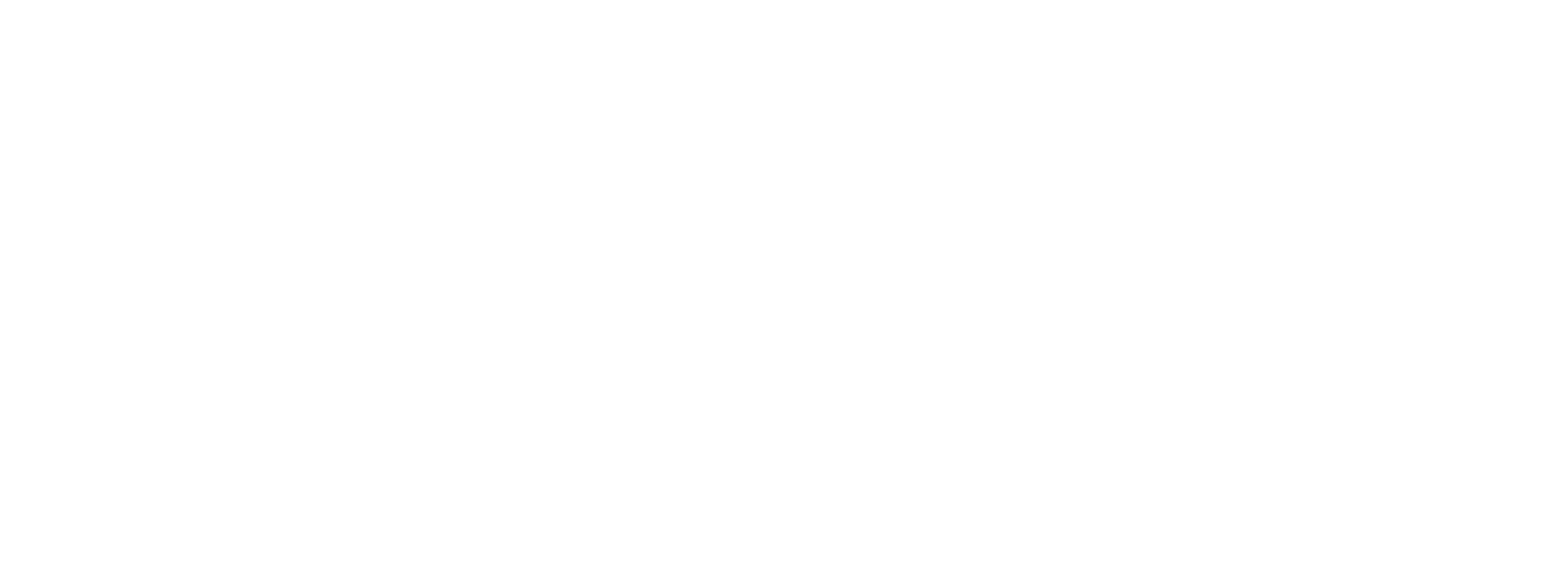 Scream Banner